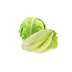 کاهو و کلم مخلوط