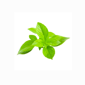 ریحان کیلویی