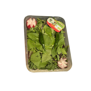 سبزی خوردن خانواده