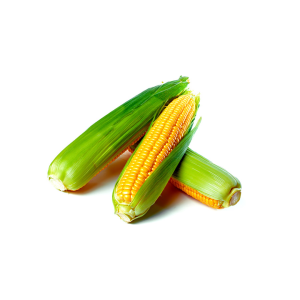 ذرت کیلویی